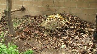 Composting With Seaweed & Leaves : Composting