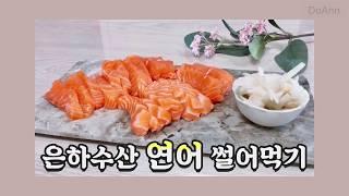 Vlog 은하수산 연어회 양파랑 썰어먹기! | 자취요리 브이로그 — CUT SALMON SASHIMI & SLICE ONIONS — 鮭(さけ)のさばき