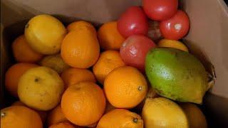 $23 Grocery Challenge & Pantry Build - Week 1 Groceries #NovaScotia #SmallBudget