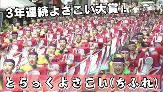 『とらっくよさこい（ちふれ）』 ～2024年度よさこい大賞～