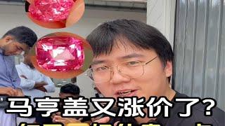 马亨盖奶体vs玻璃晶体马甲们更喜欢哪个？