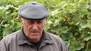 Men leave to work and return only in the fall. Only women live in villages in Armenia