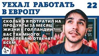 МОИ РАСХОДЫ НА ПРОДУКТЫ ПИТАНИЯ В ГОЛЛАНДИИ ЗА МЕСЯЦ. БЫТОВЫЕ ВОПРОСЫ. РАБОТА В ЕВРОПЕ ДЛЯ РУССКИХ