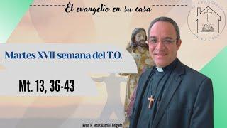 El Evangelio en su Casa."Arrancará la cizaña y la echará al fuego".