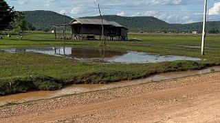 Lao countrysideทางชนบทลาวใต้ ดอนโขง แขวงจำปาสัก#laos 2024