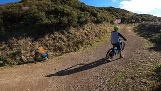 Makara Upper leaping lizard - May 2020