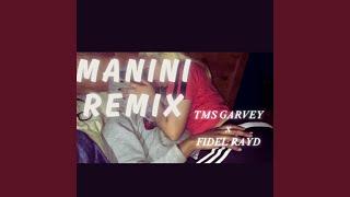 MANINI (feat. FIDEL RAYD) (Remix)
