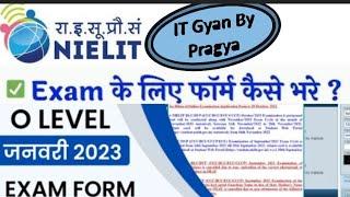 Nielit O Level | how to fill  nielit O Level  exam form