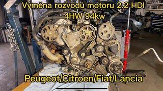 Výměna rozvodů 2.2 HDI 4HW 94KW (Peugeot, Citroen, Fiat, Lancia)