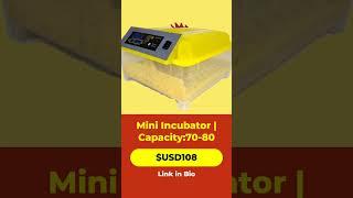 Efficient Mini Incubator: Hatch More Eggs Easily