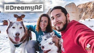 Utah Best Hikes With Dogs in SNOW | Husky Squad