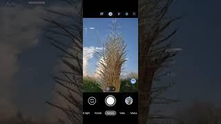 LMC CAMERA #how #gcam #gcamapk #lmc #short #shortAmazing Camera| Lmc 8.2 | 8.4