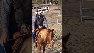 How to hold the reins in a Hackamore or Bosal