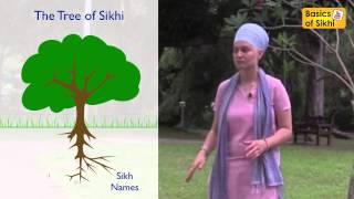 How and Why are Sikhs killing Sikhi?