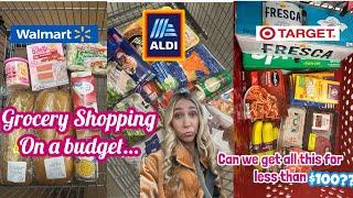 GROCERY SHOPPING ON A BUDGET IN 2025 | MEAL IDEAS $100 OR LESS BUDGET FOR THE WEEK?!