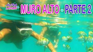 PRAIA DE MURO ALTO   PARTE 2   PISCINAS NATURAIS   PORTO DE GALINHAS