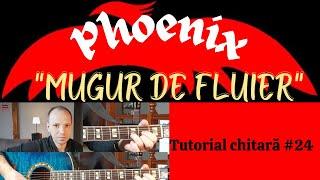 Mugur de fluier (Phoenix) | Tutorial chitara #24