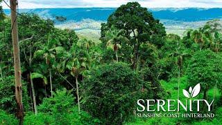 Serenity, Sunshine Coast Hinterland Acreage Lifestyle Properties For Sale