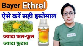 Bayer Ethrel | how to use ethrel | Ethephon 39% SL | systemic plant growth regulator | defoliation