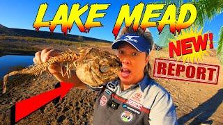 Lake Mead Water report - Look at this happening again' Shoreline tragedy