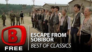 Boom TV - Escape from Sobibor | Full Drama Movie | History | War