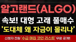 [알고랜드 코인]" 5분전 속보" 지금 해외대형고래는 왜 자금을 이곳으로 들어오나! 긴급대응! #알고랜드전망 #알고랜드코인 #알고랜드 #알고랜드코인전망