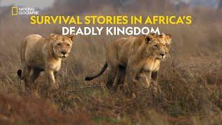 Survival on the Plains | Africa's Deadly Kingdom | हिंदी | Full Episode | S1 - E4 | Nat Geo Wild