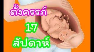 ตั้งครรภ์ 17 สัปดาห์ | พัฒนาการทารก 17 สัปดาห์| น้องชินบี