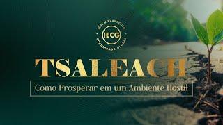 │Tsaleach│Como Prosperar em um ambiente hostil │ Ap. Edmilson │