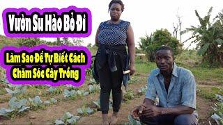 2Q Vlogs||Sốc lại tinh thần Làm Việc gia đình châu phi|| Cuộc Sống Châu Phi