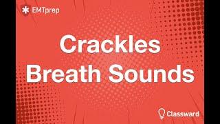 Coarse and Fine Crackles Animation - EMTprep.com