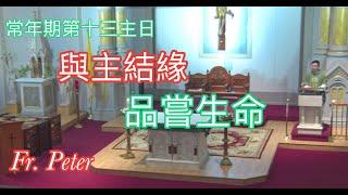 Fr. Peter 常年期第十三主日(與主結緣，品嘗生命)  馬爾谷福音5:21-43 (纽约显圣容堂） 6/30/24