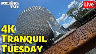 4K Live: Tranquil Tuesday - A Tranquil Morning at Epcot - Walt Disney World Live Stream - 6-18-24