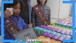 Girl Scouts sued over alleged heavy metals, pesticides in cookies | Morning in America