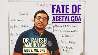 7. Fate of Acetyl CoA