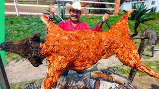 Eating Lion, Llama and Wild Boar!! Mexico's Exotic Meat Obsession!!!