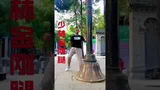 Tibia Training   #shaolinkungfuyanhao #yanhao #kungfu #shaolinkungfu #shaolinmonks #kungfutechnique