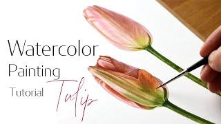 How to paint a Tulip with watercolors  Calming watercolour painting tutorial  Paint with me