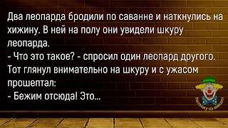 Фермер Купил Себе Петуха...Сборник Новых Смешных Анекдотов Про Животных,Для Супер Настроения!