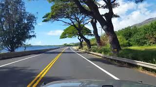 GMS - Elders of Greatmillstone preaching the laws, statutes, and commandments - Maui, Hawaii