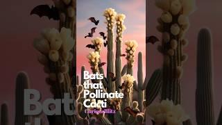 Bats That Keep Cacti Alive: Nature’s Nighttime Pollinators! 