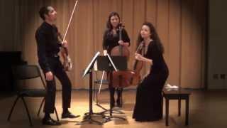 Johann Sebastian Bach - "Goldberg Variations", BWV 988, for String Trio.