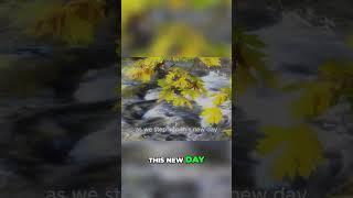 Trust God Today: Prayers Answered! (Faith Boost)