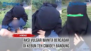 Heboh, Video Aksi Vulgar Wanita Bercadar di Kawasan Kebun Teh Ciwidey, Bandung