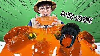 초대형 곤충젤리 만들기! 넓돌이(사슴벌레) 생일선물!_에그박사