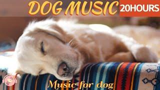 20 HOURS of Deep Sleep Dog Music & Separation anxietyDog Relaxation Musicstressed dog