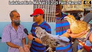 Lalukhet Birds Market 23-2-25 Karachi Part 2 Latest Updates | برڈز مارکیٹ میں کچھ پرندوں کے پرائز کم