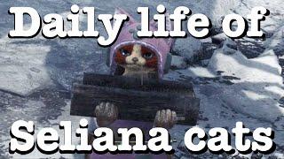 MHW Iceborne: The daily lives of Seliana cats