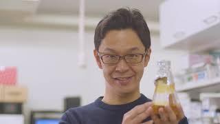 My life at RIKEN
