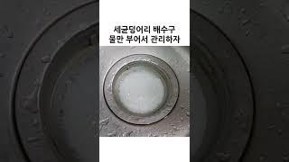 겨울에도 배수구에는 드글드글한 세균들... #shorts